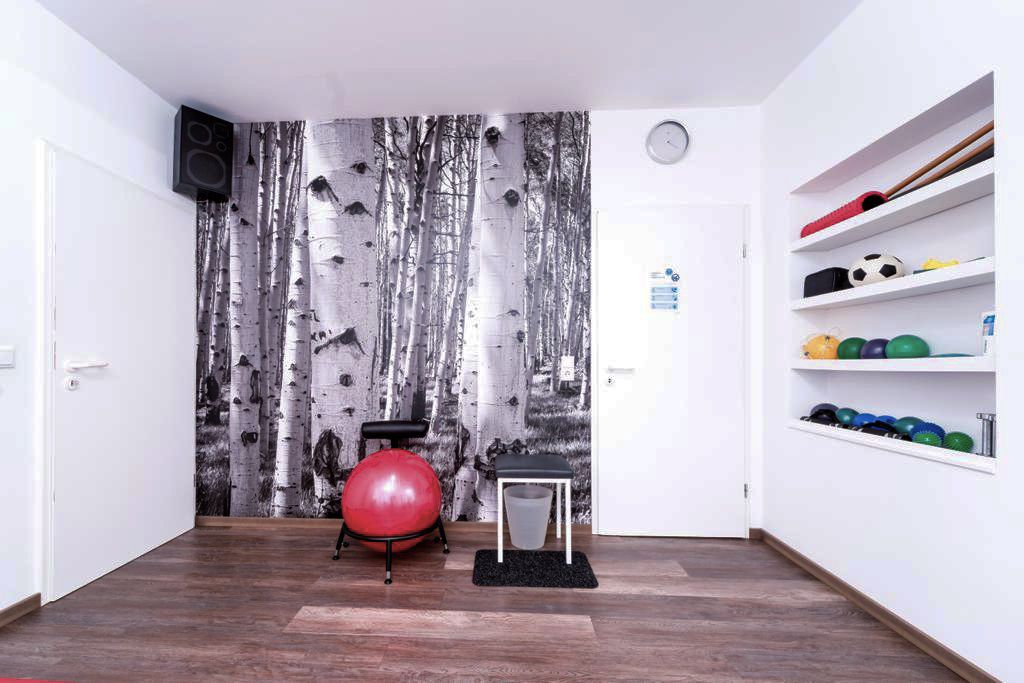Einblick in die Praxis Physiotherapie Ricci Wiehn in Rodalben
